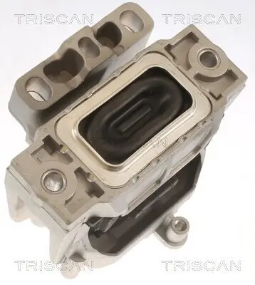 Lagerung, Motor TRISCAN 8505 29143 Bild Lagerung, Motor TRISCAN 8505 29143