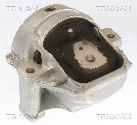 Lagerung, Motor TRISCAN 8505 29155