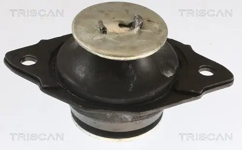 Lagerung, Motor TRISCAN 8505 29161 Bild Lagerung, Motor TRISCAN 8505 29161