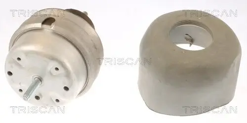 Lagerung, Motor TRISCAN 8505 29166