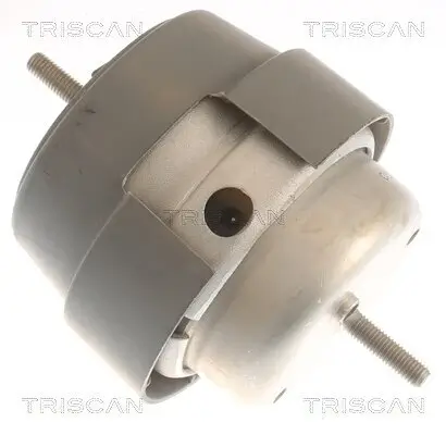 Lagerung, Motor TRISCAN 8505 29169 Bild Lagerung, Motor TRISCAN 8505 29169