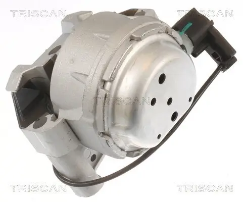 Lagerung, Motor TRISCAN 8505 29171