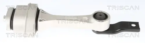 Lagerung, Motor TRISCAN 8505 29172 Bild Lagerung, Motor TRISCAN 8505 29172