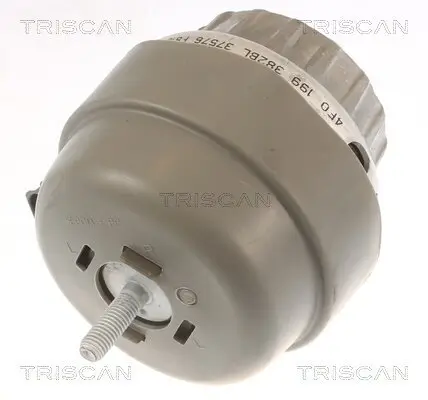 Lagerung, Motor TRISCAN 8505 29174 Bild Lagerung, Motor TRISCAN 8505 29174
