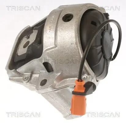 Lagerung, Motor TRISCAN 8505 29178