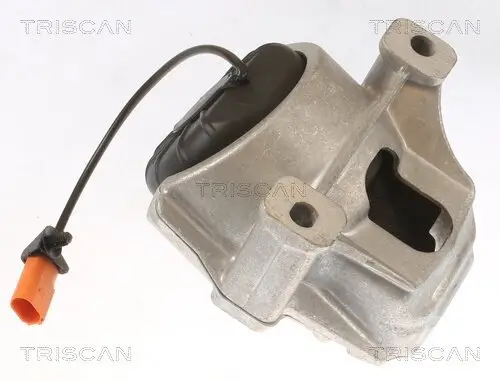 Lagerung, Motor TRISCAN 8505 29178 Bild Lagerung, Motor TRISCAN 8505 29178