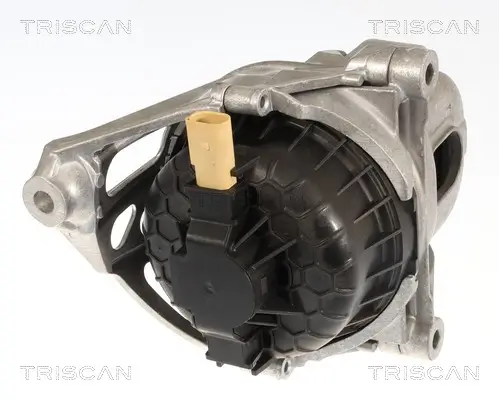 Lagerung, Motor TRISCAN 8505 29181 Bild Lagerung, Motor TRISCAN 8505 29181