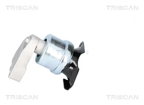 Lagerung, Motor TRISCAN 8505 29186 Bild Lagerung, Motor TRISCAN 8505 29186