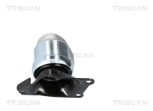 Lagerung, Motor TRISCAN 8505 29186 Bild Lagerung, Motor TRISCAN 8505 29186