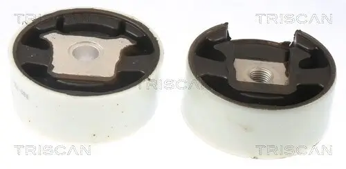Lagerung, Motor TRISCAN 8505 29188 Bild Lagerung, Motor TRISCAN 8505 29188