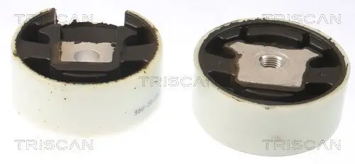 Lagerung, Motor TRISCAN 8505 29188 Bild Lagerung, Motor TRISCAN 8505 29188