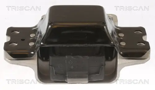 Lagerung, Motor TRISCAN 8505 29191 Bild Lagerung, Motor TRISCAN 8505 29191