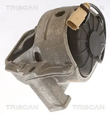 Lagerung, Motor TRISCAN 8505 29196 Bild Lagerung, Motor TRISCAN 8505 29196