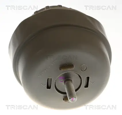 Lagerung, Motor rechts TRISCAN 8505 29197 Bild Lagerung, Motor rechts TRISCAN 8505 29197