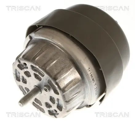 Lagerung, Motor rechts TRISCAN 8505 29197 Bild Lagerung, Motor rechts TRISCAN 8505 29197