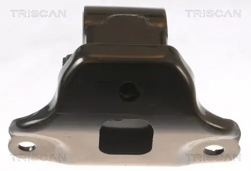 Lagerung, Motor TRISCAN 8505 43100 Bild Lagerung, Motor TRISCAN 8505 43100