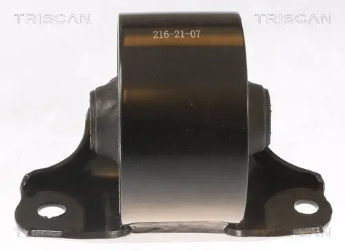 Lagerung, Motor TRISCAN 8505 43100 Bild Lagerung, Motor TRISCAN 8505 43100