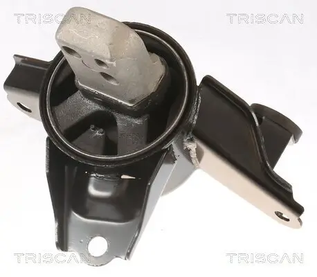 Lagerung, Motor TRISCAN 8505 43108