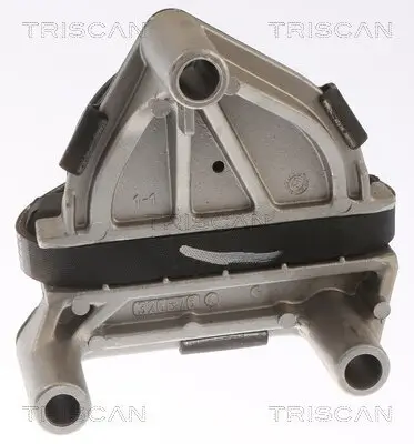 Lagerung, Motor TRISCAN 8505 65100 Bild Lagerung, Motor TRISCAN 8505 65100
