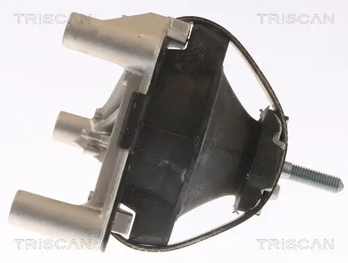 Lagerung, Motor TRISCAN 8505 65100 Bild Lagerung, Motor TRISCAN 8505 65100