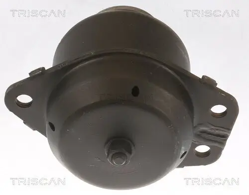 Lagerung, Motor TRISCAN 8505 65103 Bild Lagerung, Motor TRISCAN 8505 65103