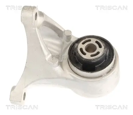 Lagerung, Motor TRISCAN 8505 81102