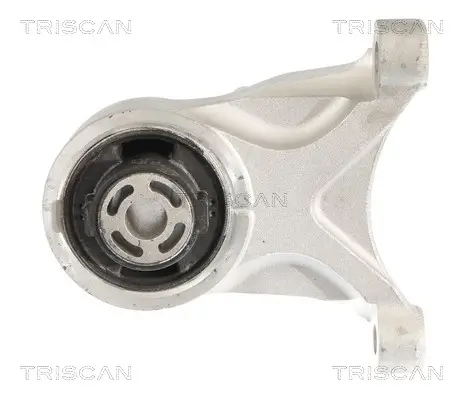 Lagerung, Motor TRISCAN 8505 81102 Bild Lagerung, Motor TRISCAN 8505 81102