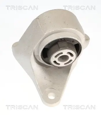 Lagerung, Motor TRISCAN 8505 81105 Bild Lagerung, Motor TRISCAN 8505 81105