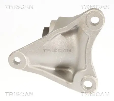 Lagerung, Motor TRISCAN 8505 81105 Bild Lagerung, Motor TRISCAN 8505 81105