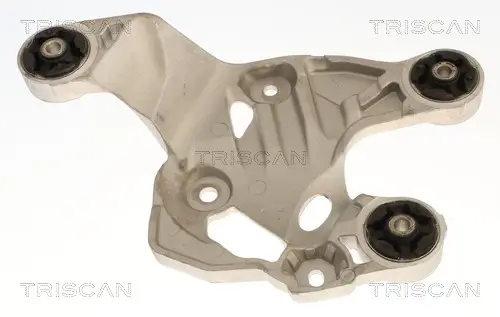 Lagerung, Motor motorseitig TRISCAN 8505 81107