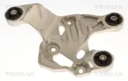 Lagerung, Motor motorseitig TRISCAN 8505 81107