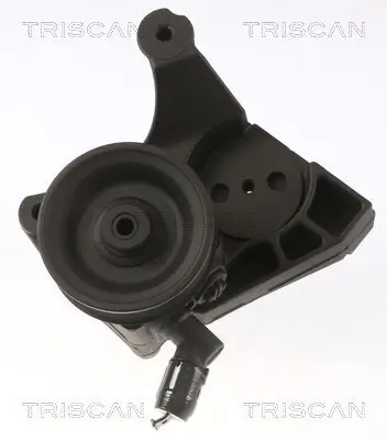 Hydraulikpumpe, Lenkung TRISCAN 8515 15639