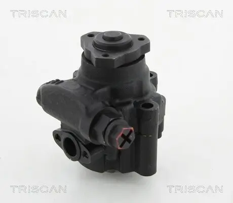 Hydraulikpumpe, Lenkung TRISCAN 8515 17613