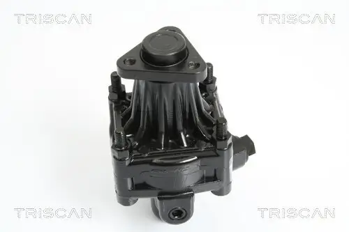 Hydraulikpumpe, Lenkung TRISCAN 8515 29608