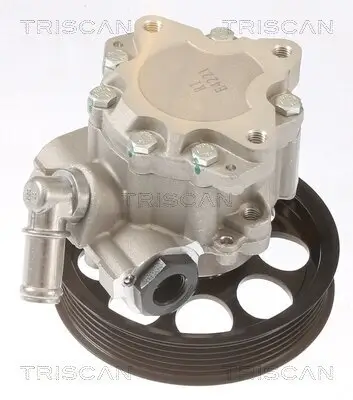 Hydraulikpumpe, Lenkung TRISCAN 8515 65616