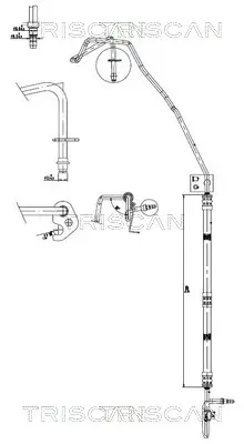 Hydraulikschlauch, Lenkung von Hydraulikpumpe nach Lenkgetriebe TRISCAN 8516 16037