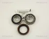 Radlagersatz Vorderachse TRISCAN 8530 10130