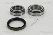 Radlagersatz TRISCAN 8530 10178