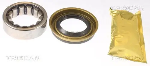 Radlagersatz Hinterachse TRISCAN 8530 102002 Bild Radlagersatz Hinterachse TRISCAN 8530 102002