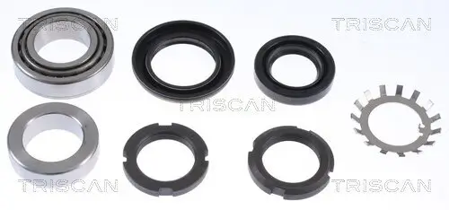 Radlagersatz Hinterachse TRISCAN 8530 10294