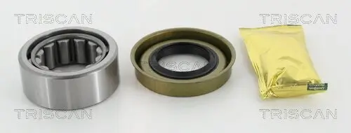 Radlagersatz TRISCAN 8530 16268