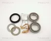 Radlagersatz TRISCAN 8530 17004