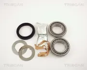 Radlagersatz TRISCAN 8530 17004