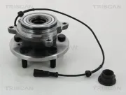 Radlagersatz Hinterachse TRISCAN 8530 17224