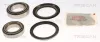 Radlagersatz TRISCAN 8530 18101