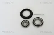 Radlagersatz TRISCAN 8530 21202