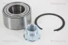 Radlagersatz TRISCAN 8530 24124