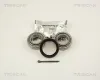 Radlagersatz Hinterachse TRISCAN 8530 42201