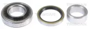 Radlagersatz Hinterachse TRISCAN 8530 69201
