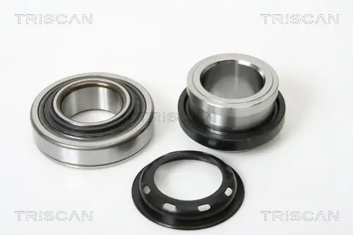 Radlagersatz TRISCAN 8530 69214